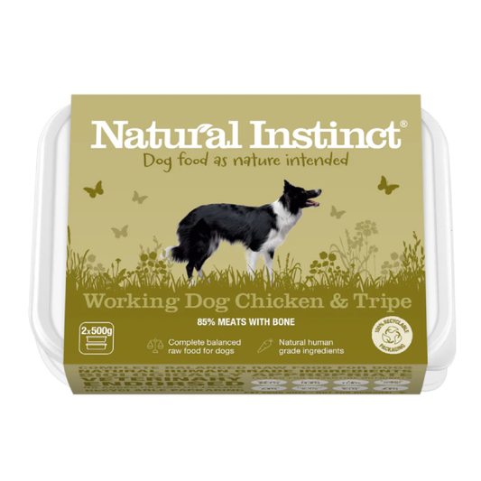 Natural Instinct raw dog food in Bristol