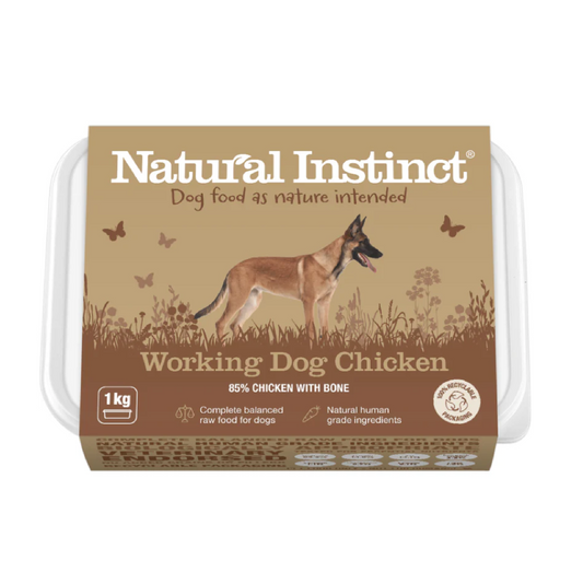 Natural Instinct raw dog food in Bristol