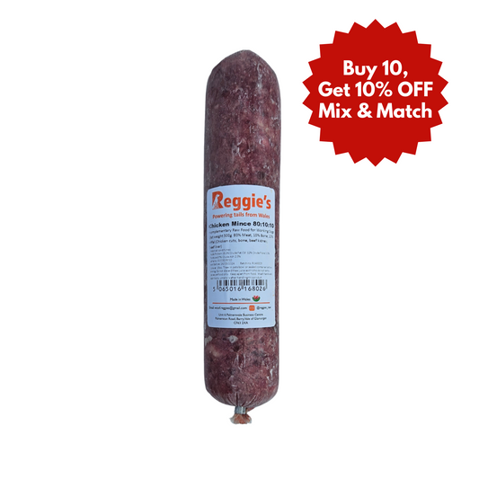 Reggie's raw dog food in Bristol