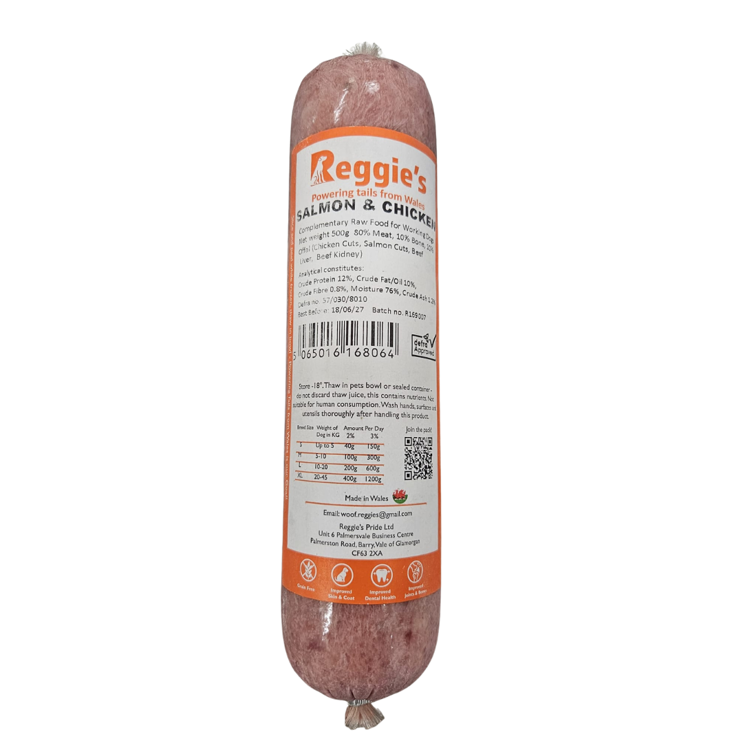 Reggies raw dog food in Bristol