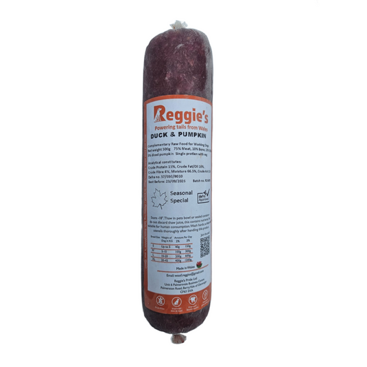 RR Duck & Pumpkin 500g