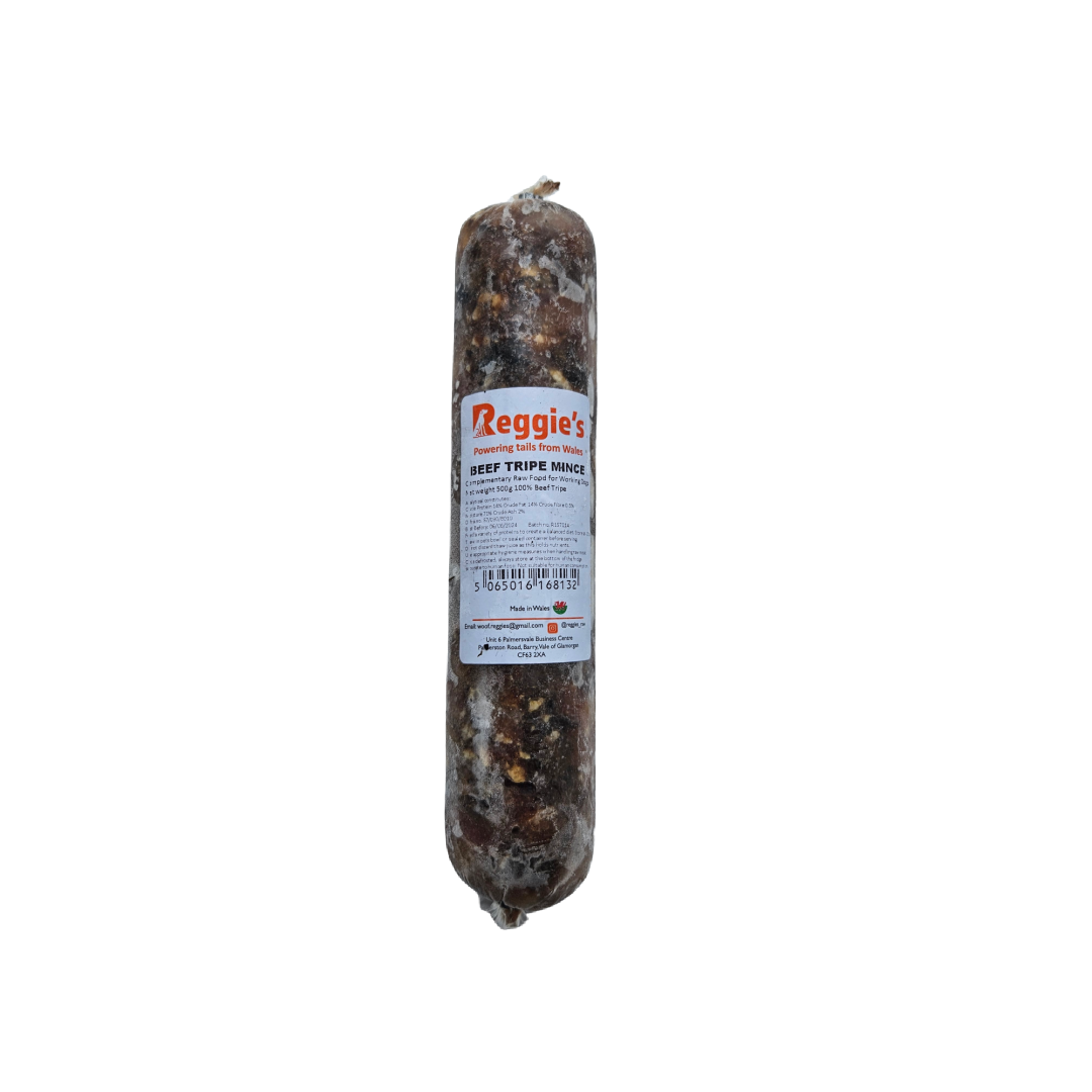 Reggie's raw dog food in Bristol