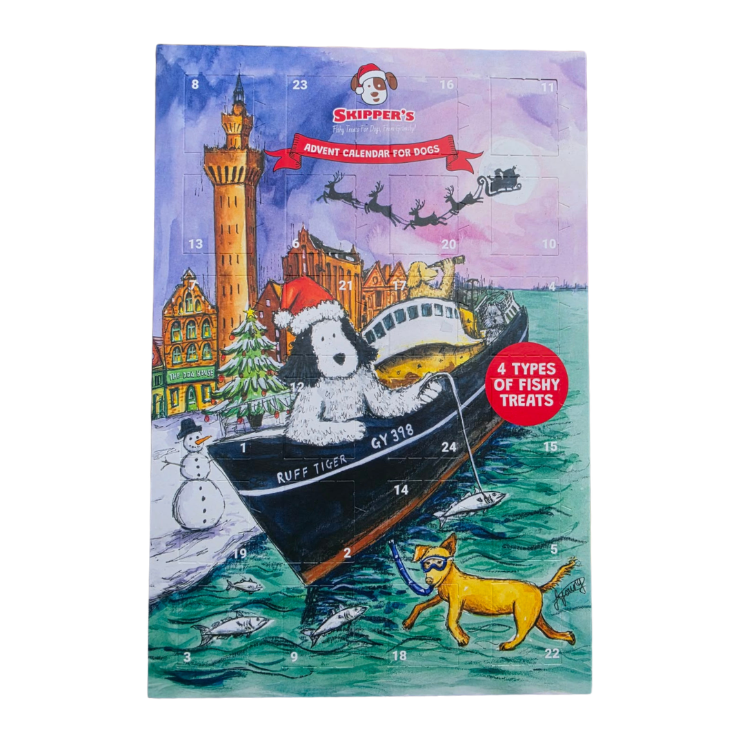 Advent calendar for dogs
