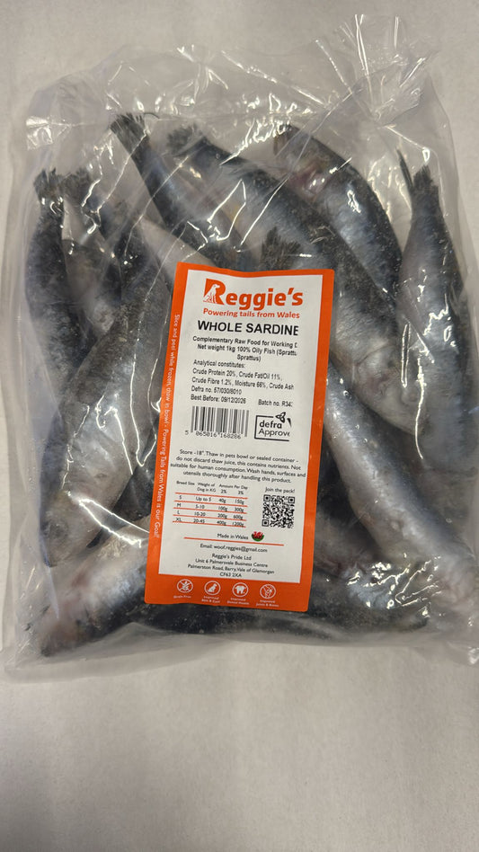 Frozen Fresh Sardines 1kg