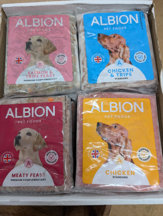 Albion raw dog food in Bristol