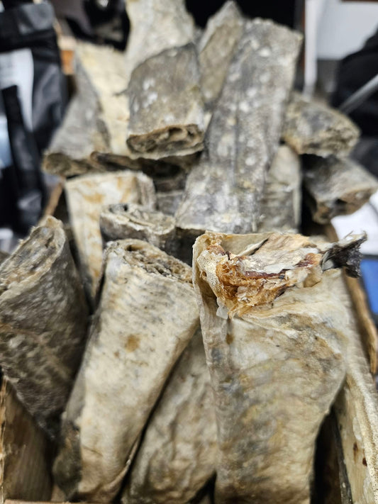 Fish skin flat cigar 1pc