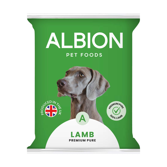 Albion Raw mince raw dog food available at Natural Treats Bristol