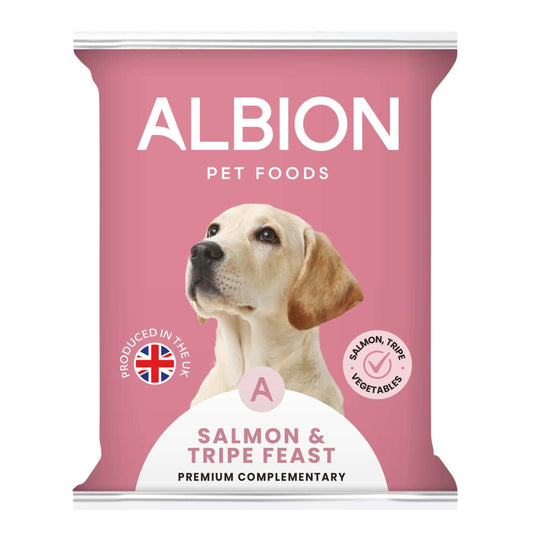 Albion Raw mince raw dog food available at Natural Treats Bristol