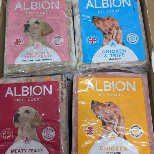 Albion raw dog food in Bristol