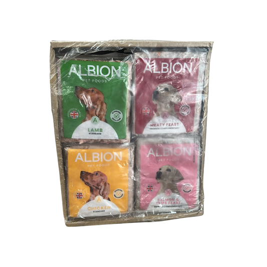 Albion raw dog food in Bristol