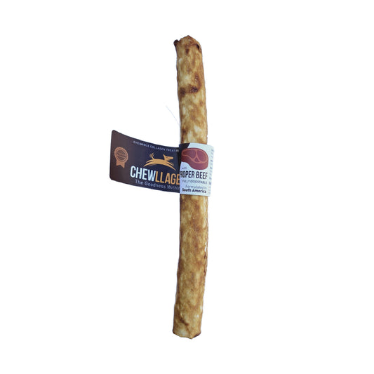 Chews for dog in Bristol