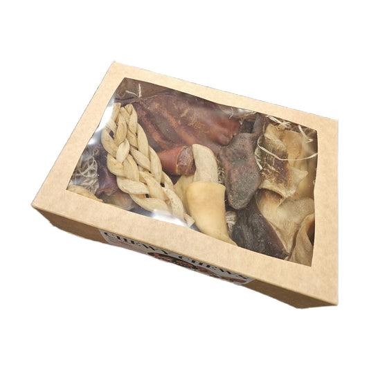 Variety of chews for dogs in Bristol