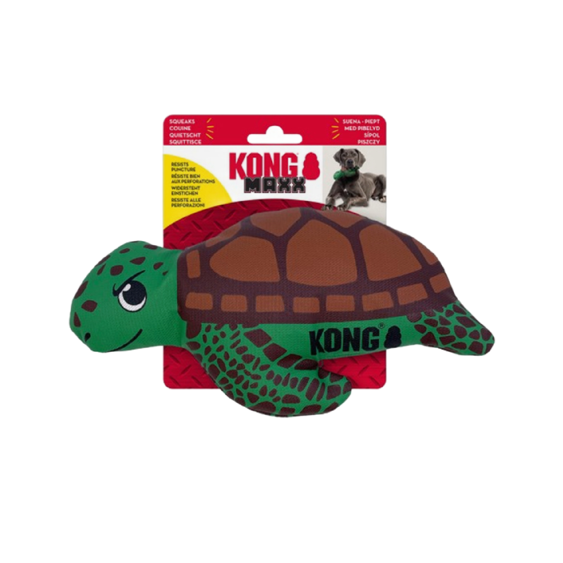 Dog toy in Bristol