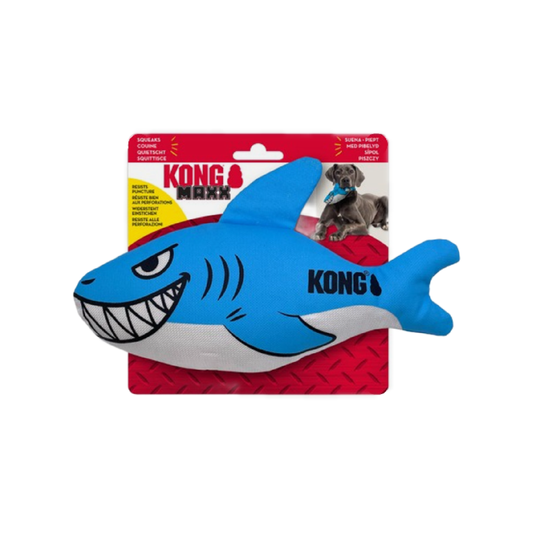 Dog toy in Bristol