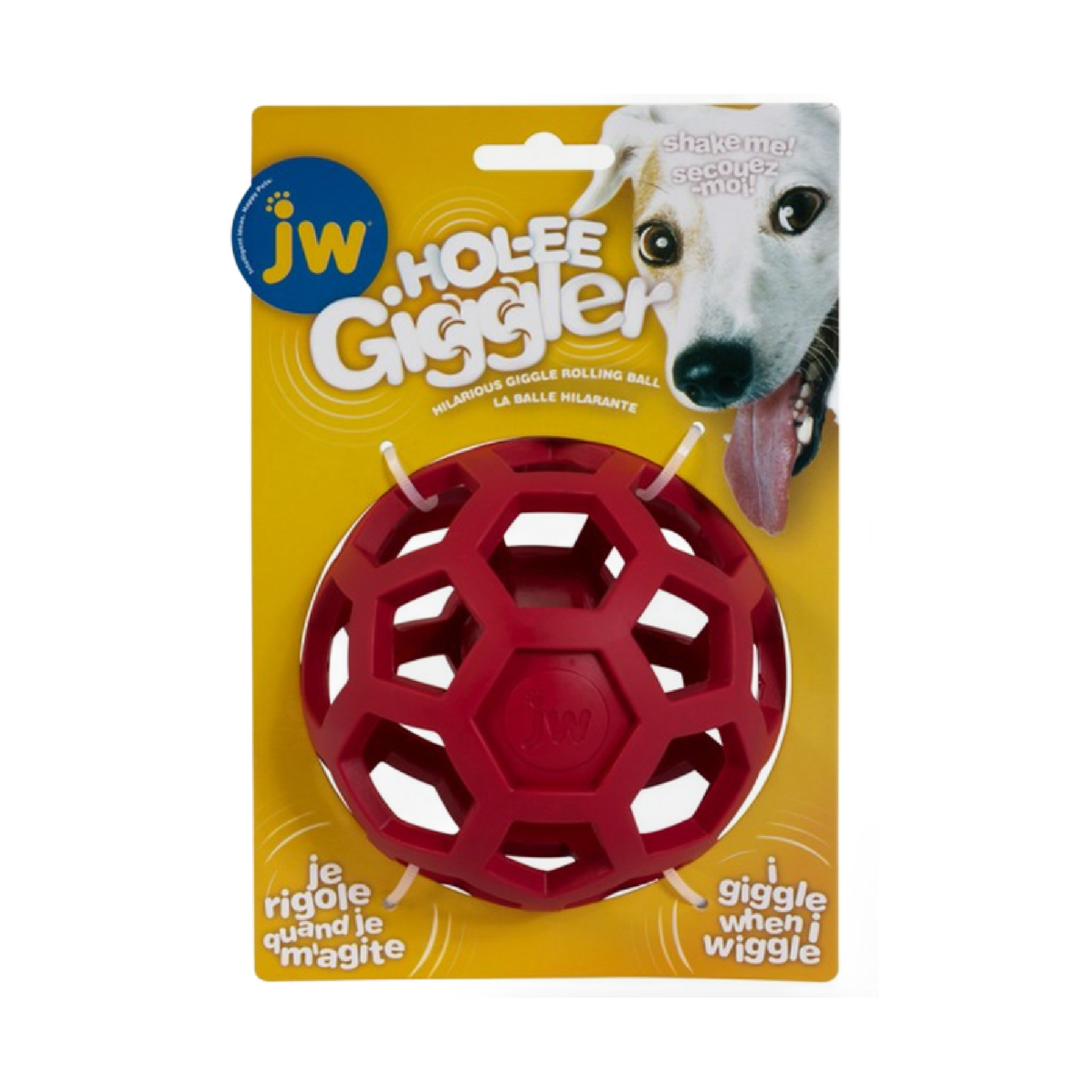 Dog toy in Bristol