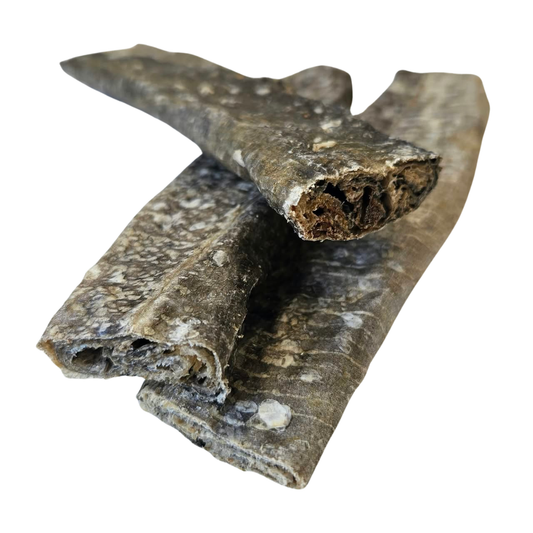 Natural fish chew for dogs