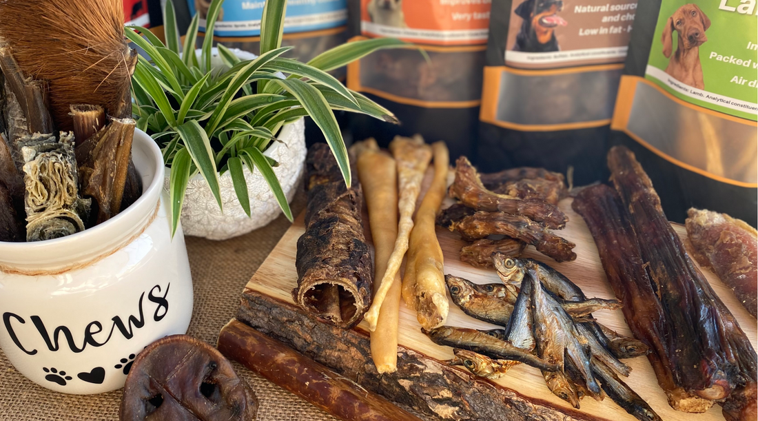 Natural Treats Bristol Raw Dog Food Store