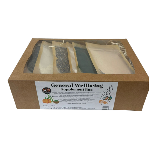 Natural dog food supplements in Bristol