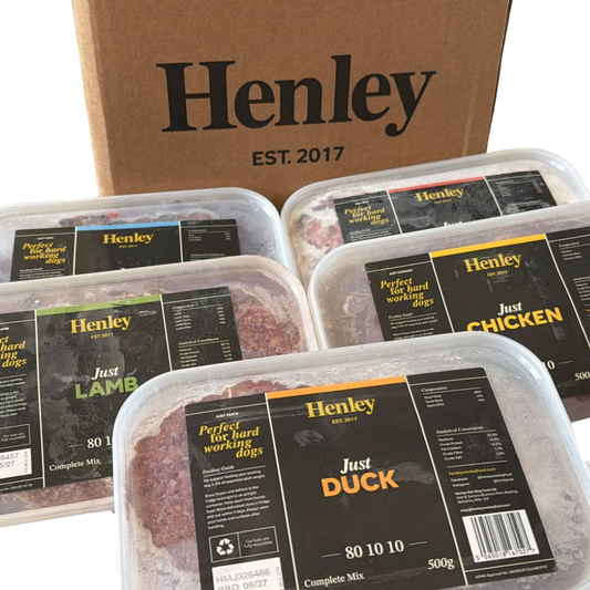 Henley Raw dog food in Bristol