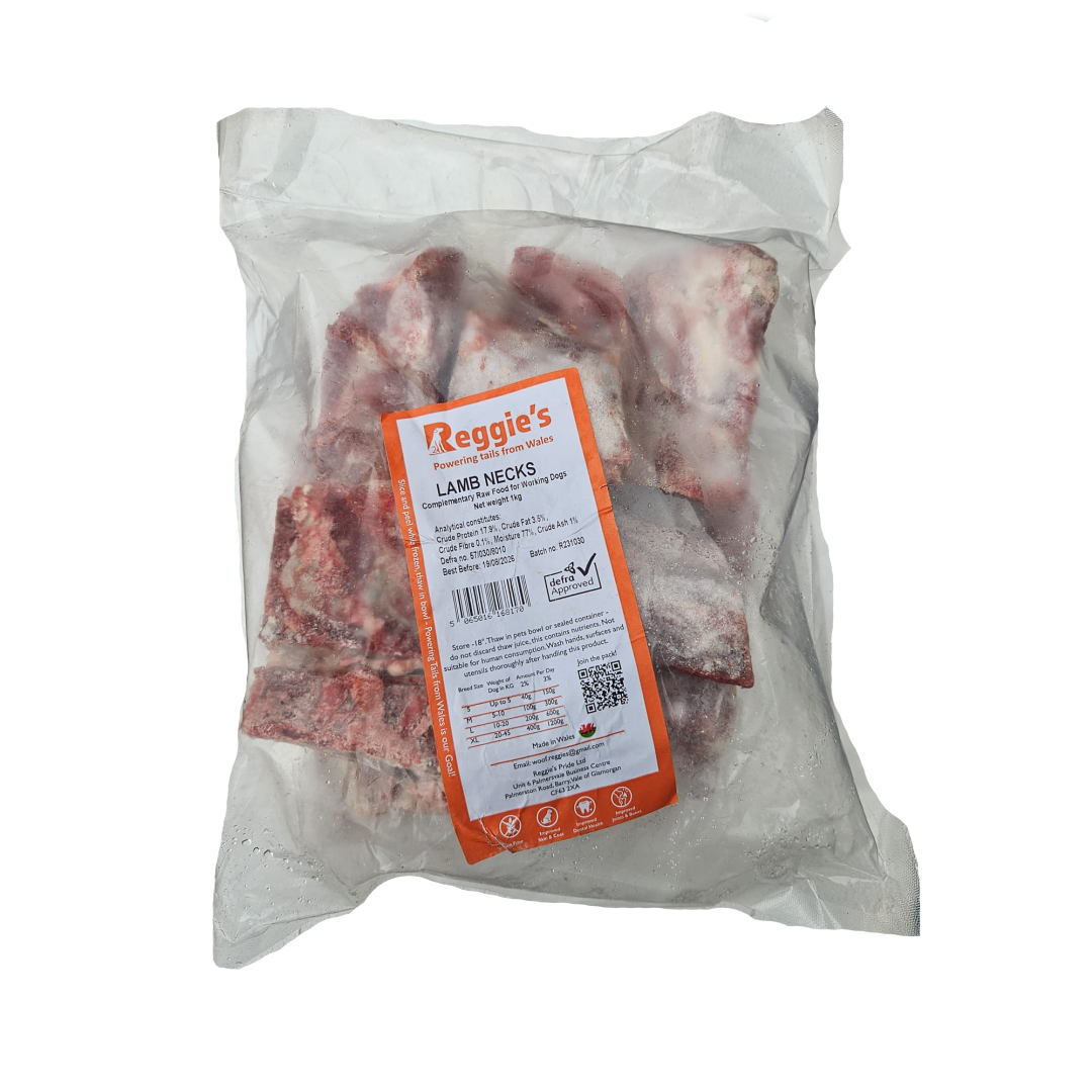 Raw lamb ribs for dogs in Bristol