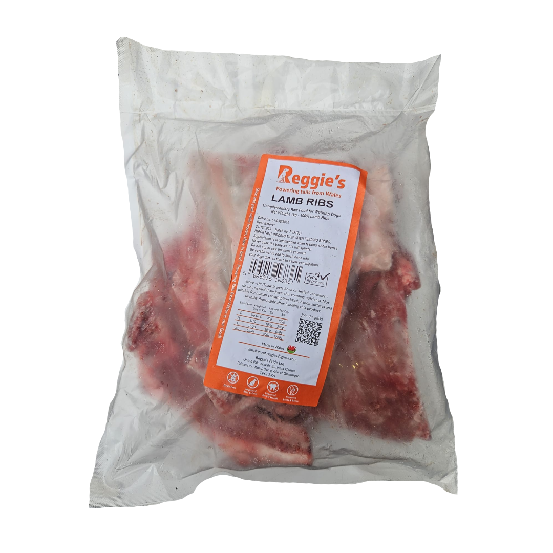 Raw lamb ribs for dogs in Bristol