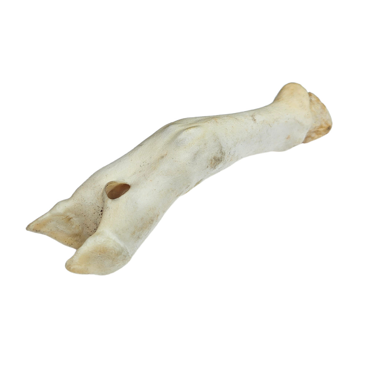 Lamb trotter - natural chews for dogs