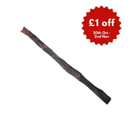 Giant Camel Skin 50cm