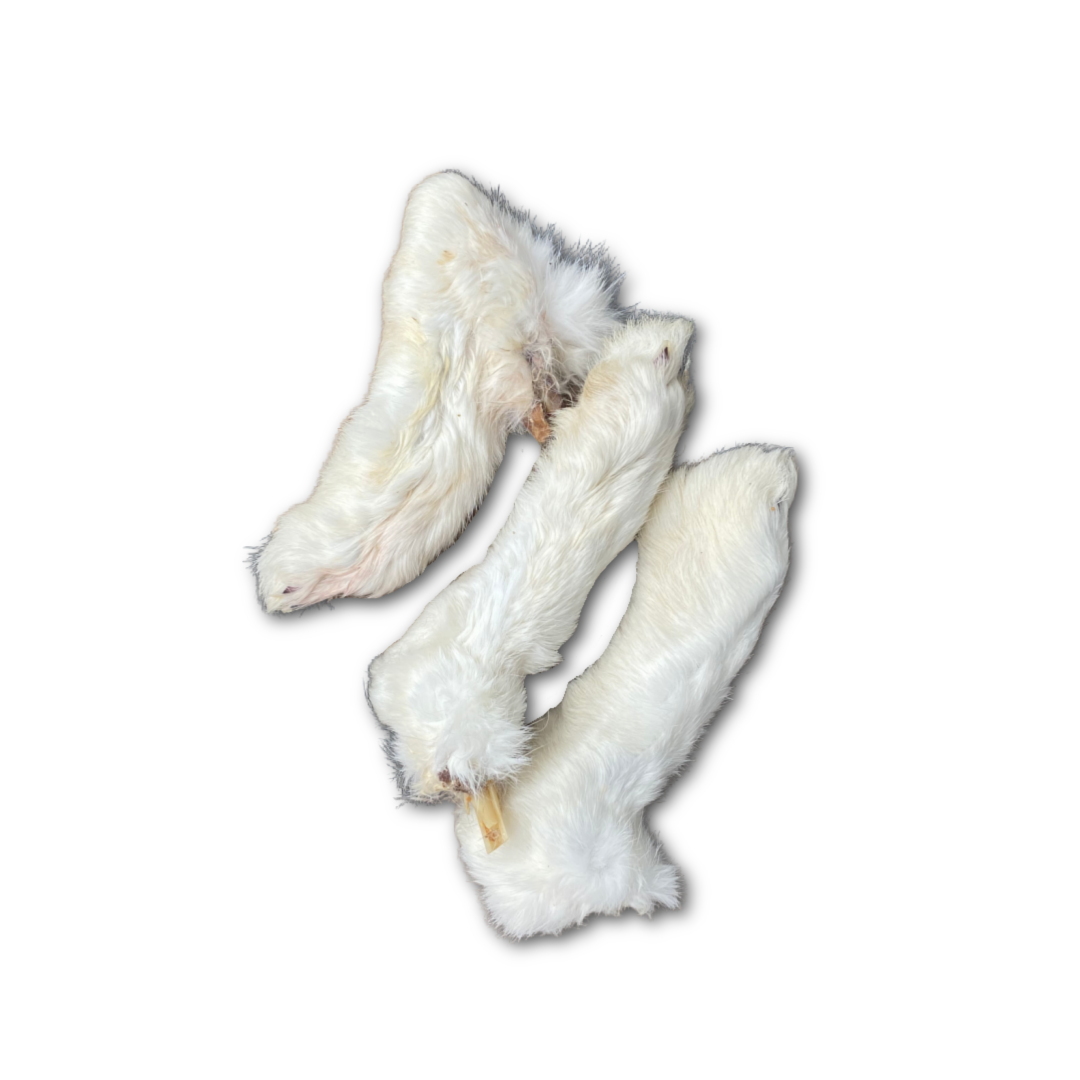 Rabbit feet with fur - natural dog chew