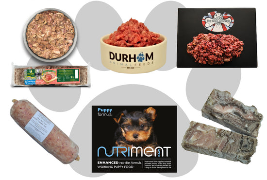 Raw dog food selection