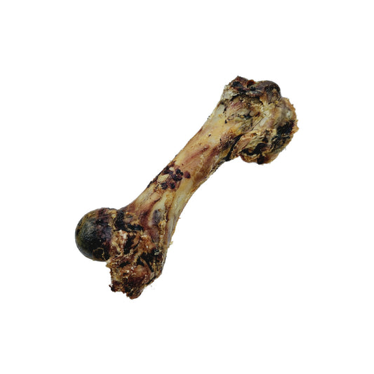 Natural chew for dogs in Bristol. Roast pork bone.