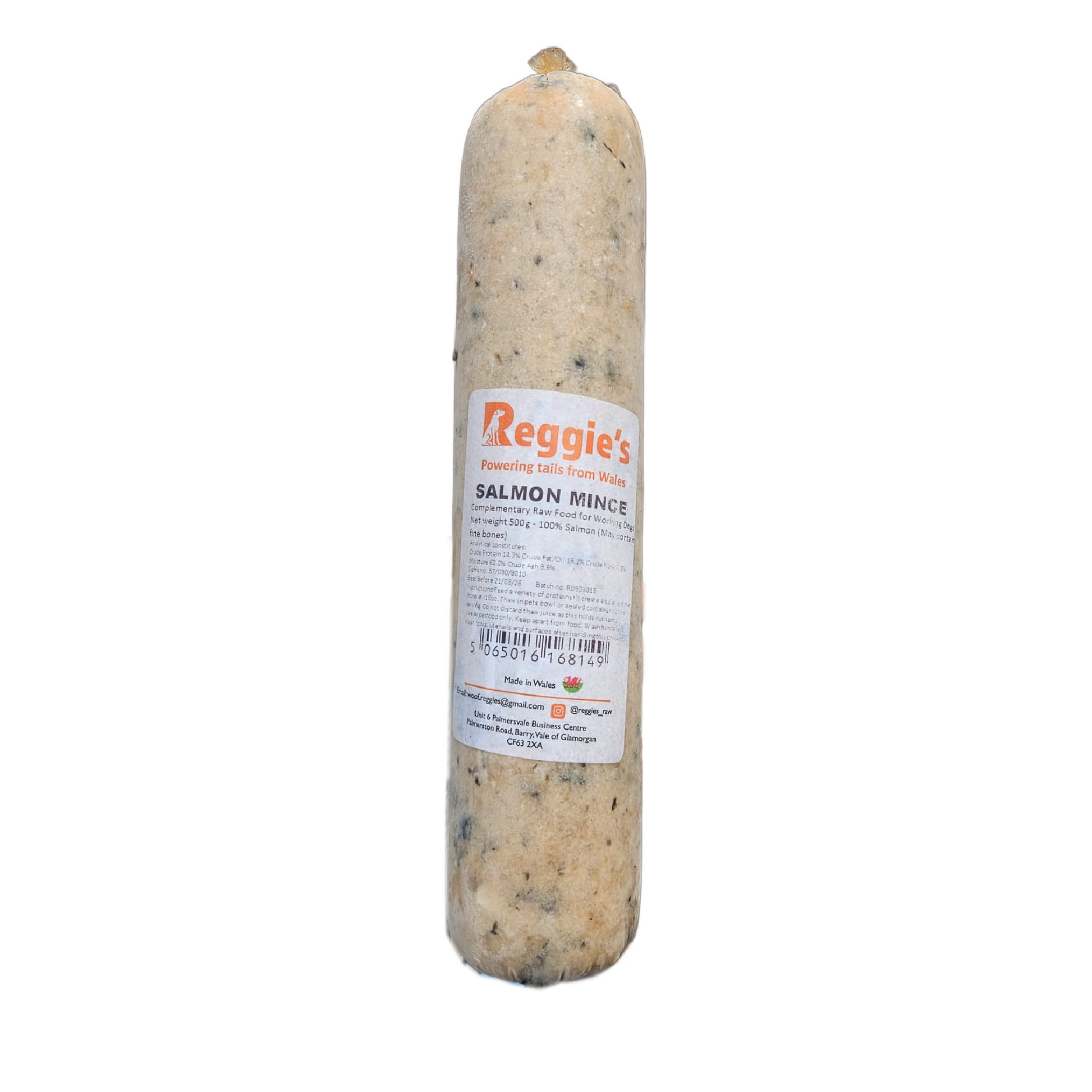 RR Salmon raw dog food for dogs in Bristol