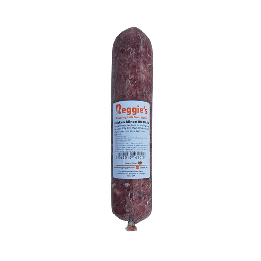 Reggie's raw dog food in Bristol
