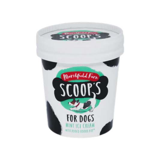 Ice cream for dogs in Bristol