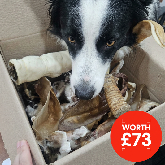 Value box of chews for dogs