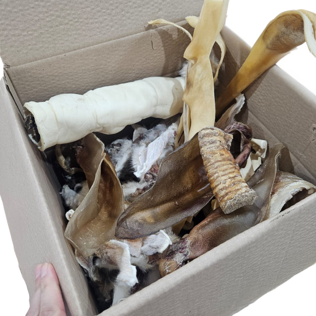 Big value dog chew box