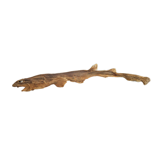 Dried whole dogfish for dogs in UK