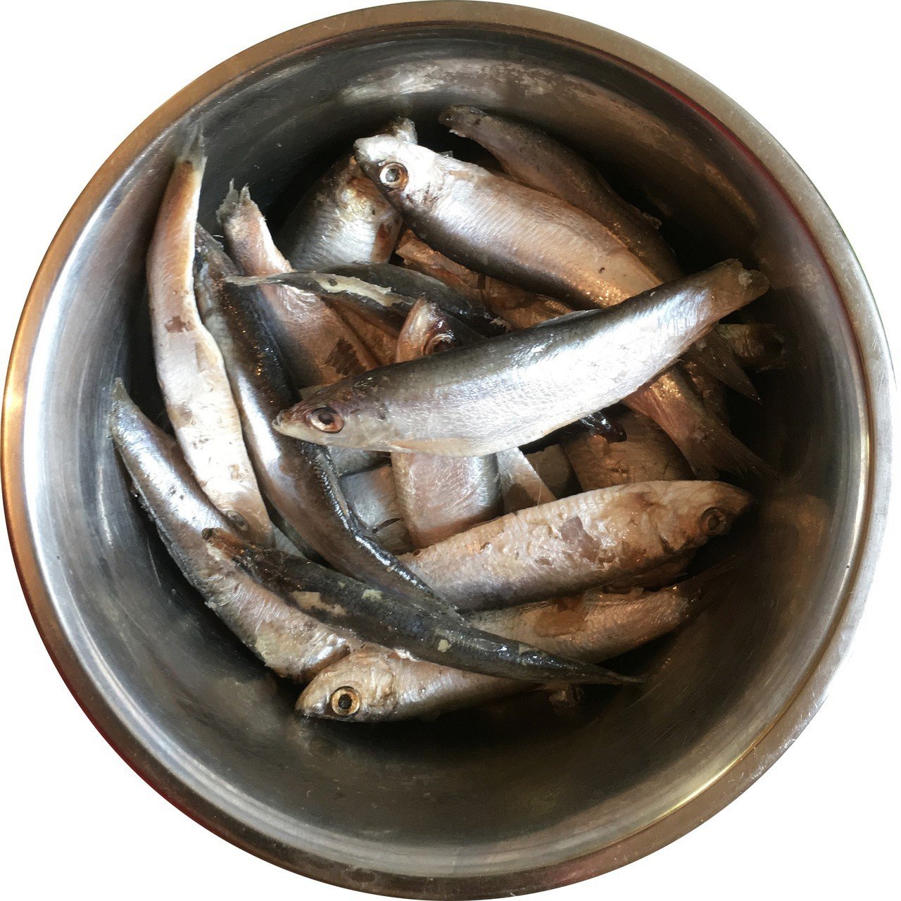 Fresh frozen sprats for dogs