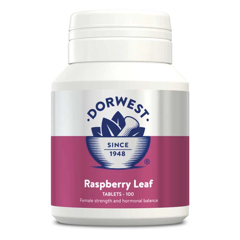 Raspberry Leaf 100 Tablets