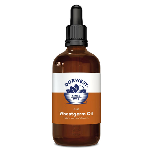 Wheatgerm Oil Liquid 100ml
