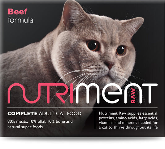Beef 500g for cats