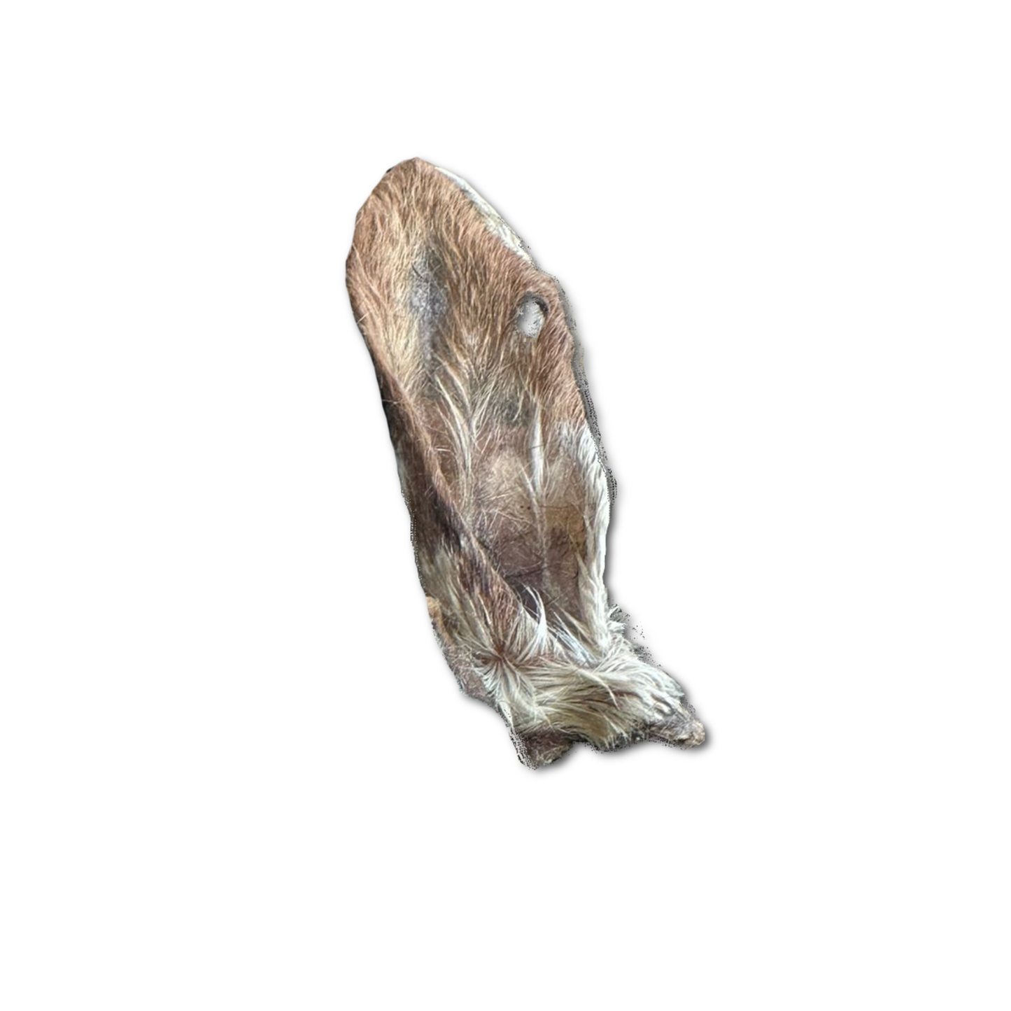 Goat ears with fur for dogs - natural dog chews