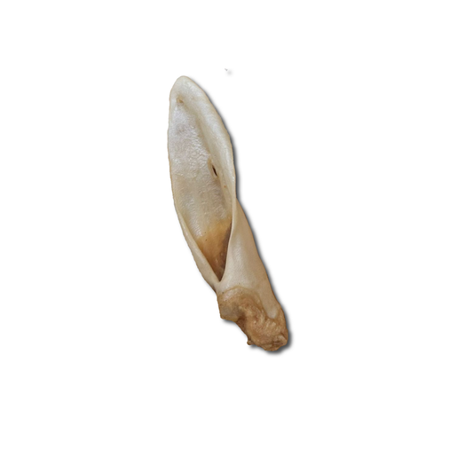 Goat Ears for dogs - natural dog chews
