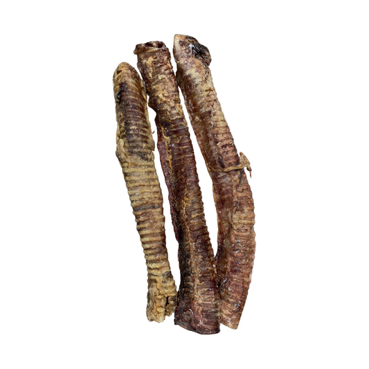 Whole Beef Trachea 15inch approx
